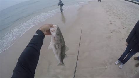 stripersonline new jersey|New Jersey Fishing .